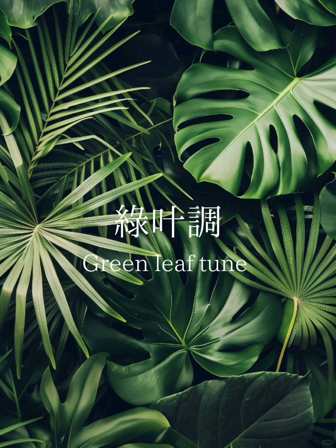 赶时间进：一分钟找到属于你的香！