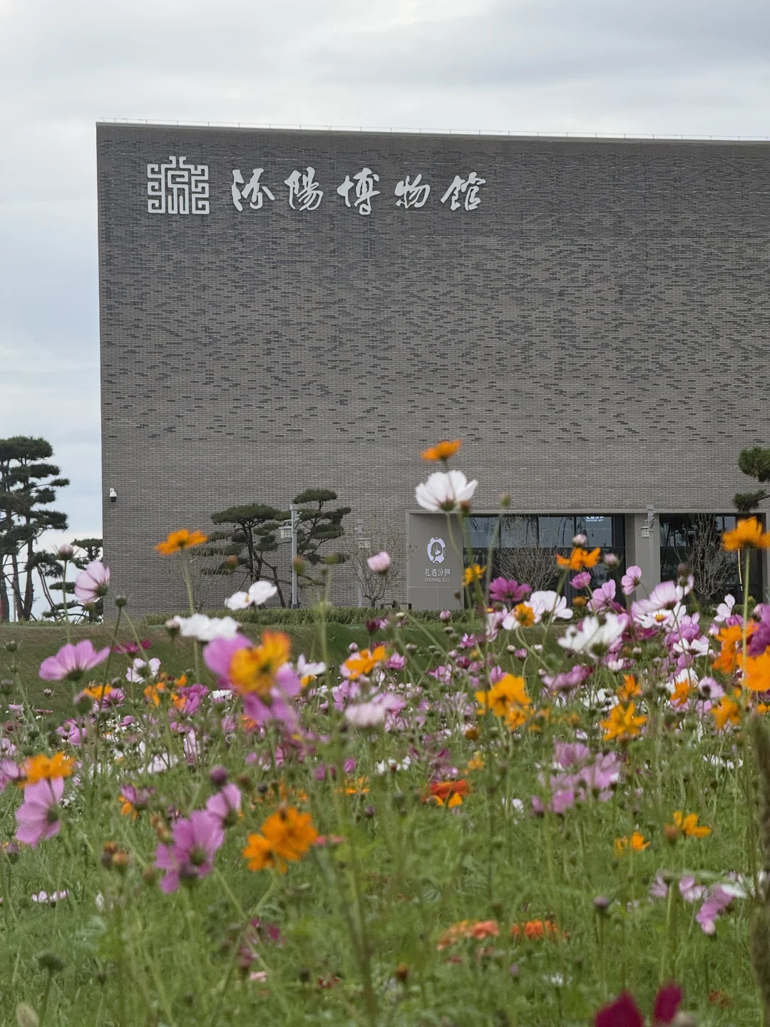 汾阳博物馆！一场沉浸式的文化之旅