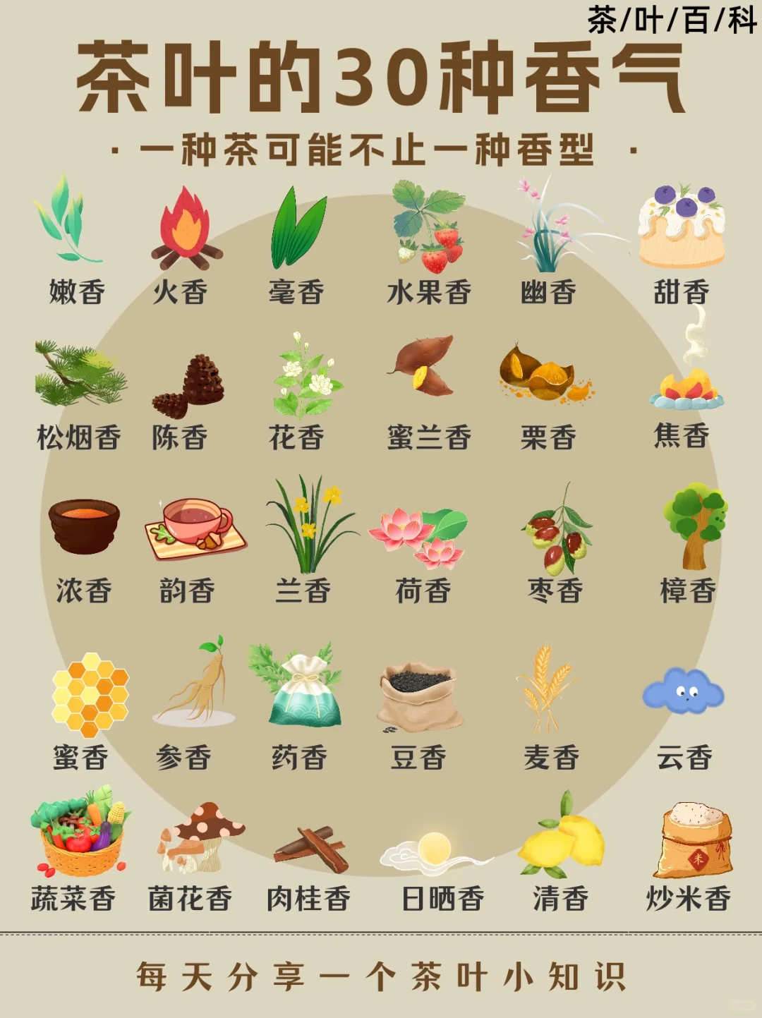 茶知识|茶叶的30种香气,你喜欢哪种?