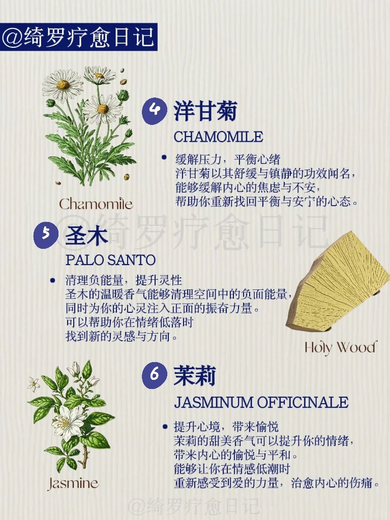 ❤️治愈心灵|6种植物线香?找到平静与力量
