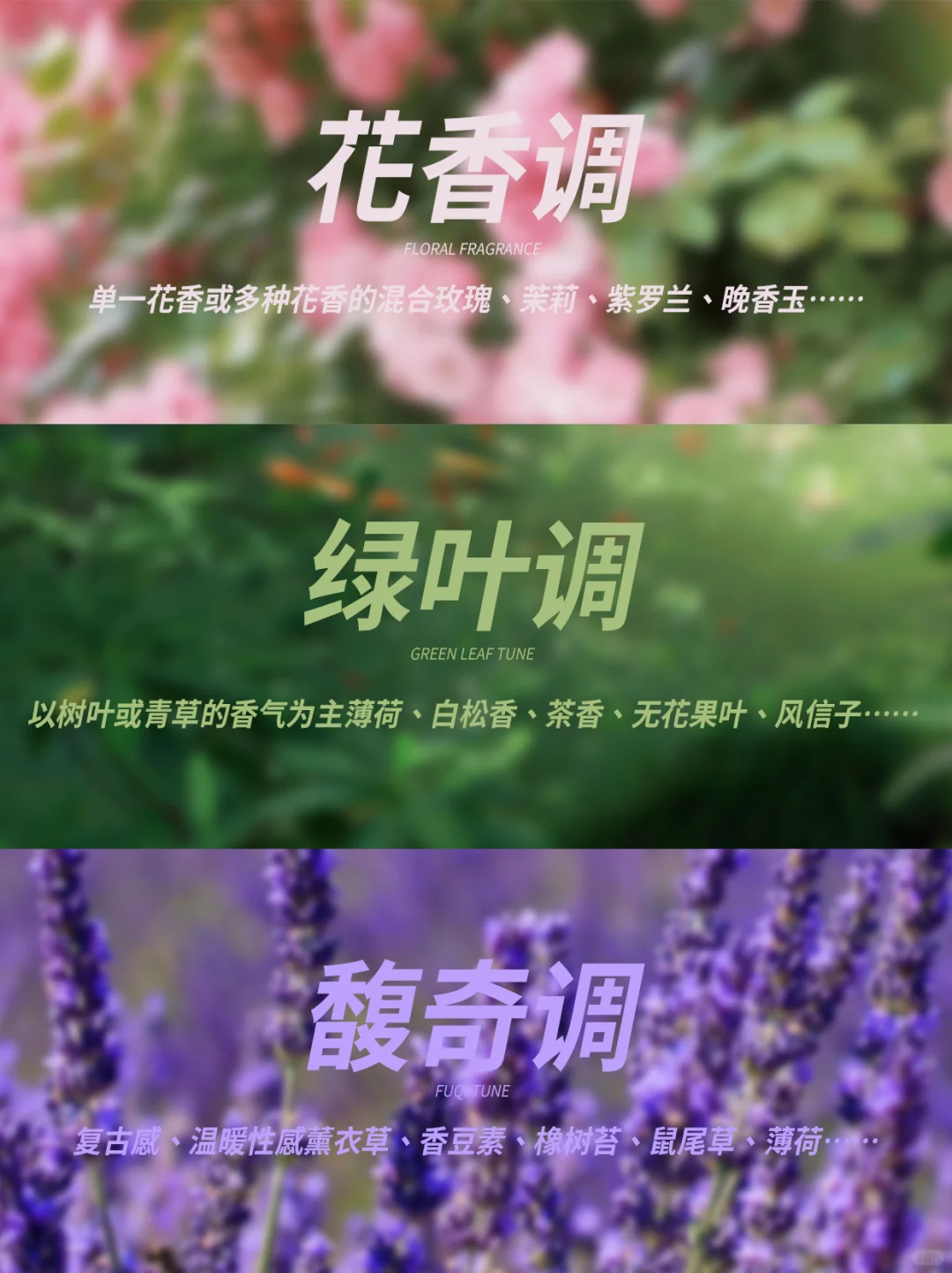 新手必看?一分钟找到你的本命香！