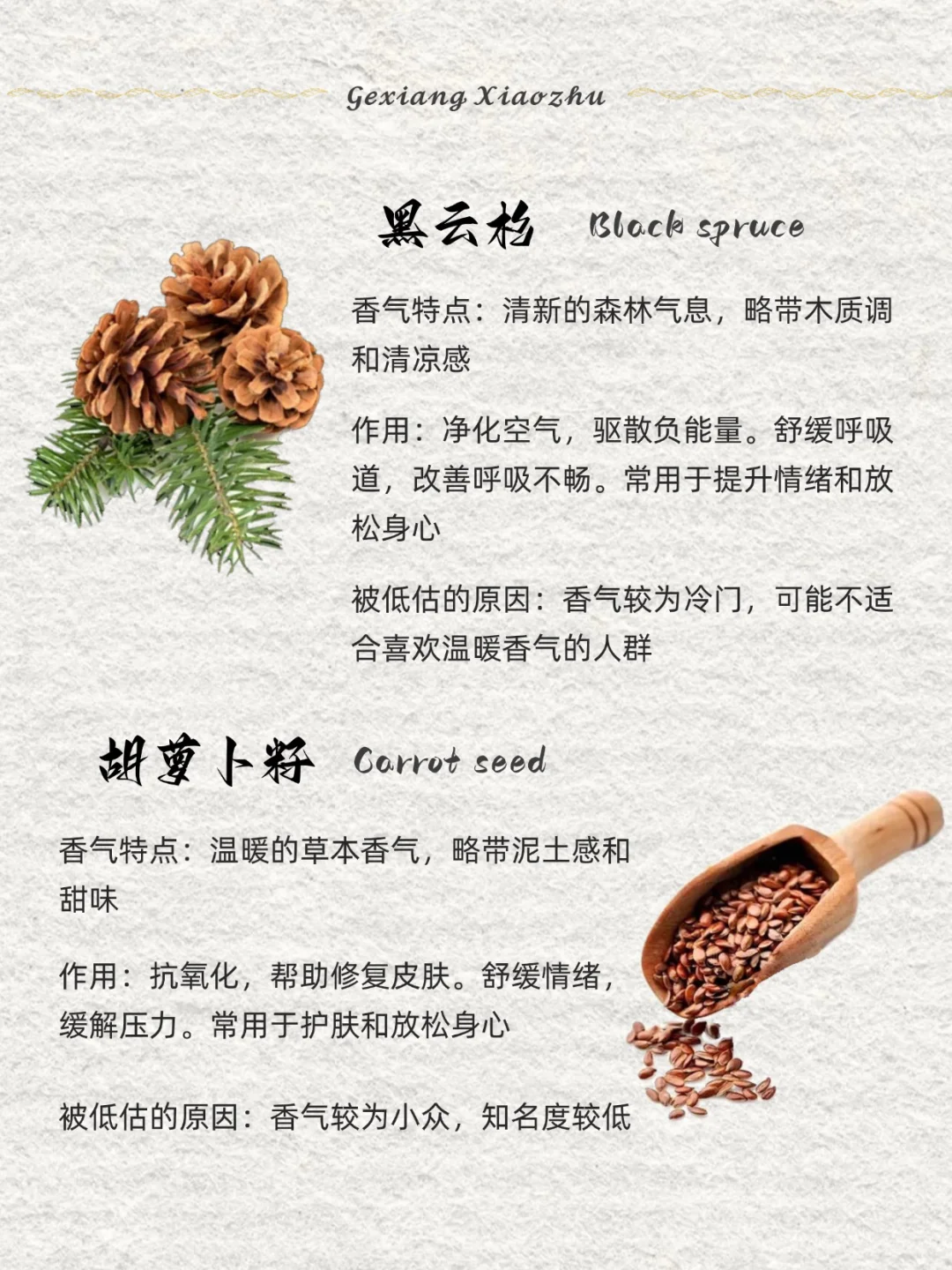 香味科普 ｜8种被低估的香气