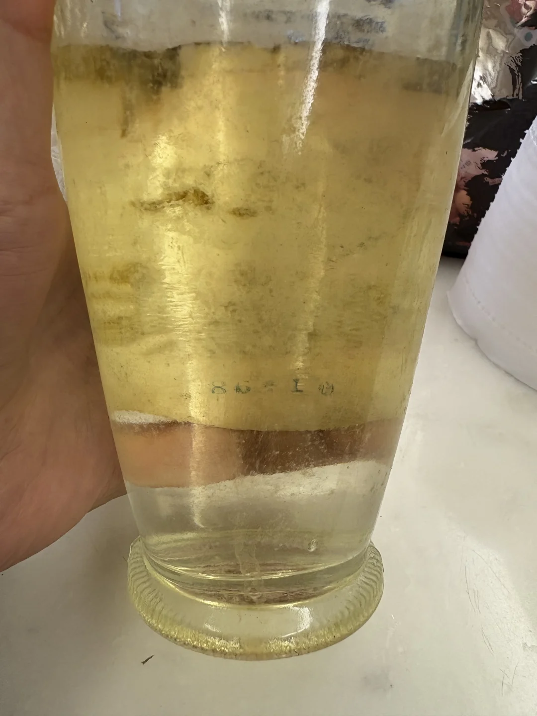 家里居然还有瓶86年的五粮液?