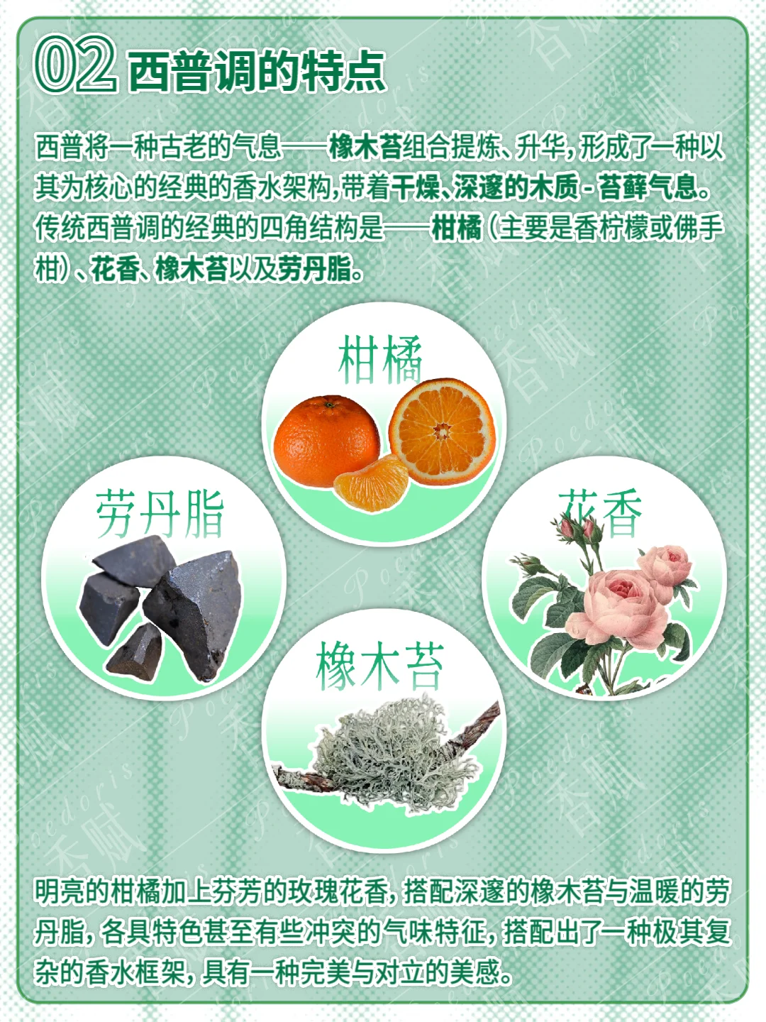 香调扫盲！什么是「西普调」？