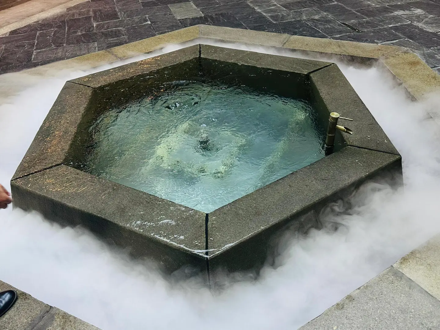 全民读“亳” 古井贡