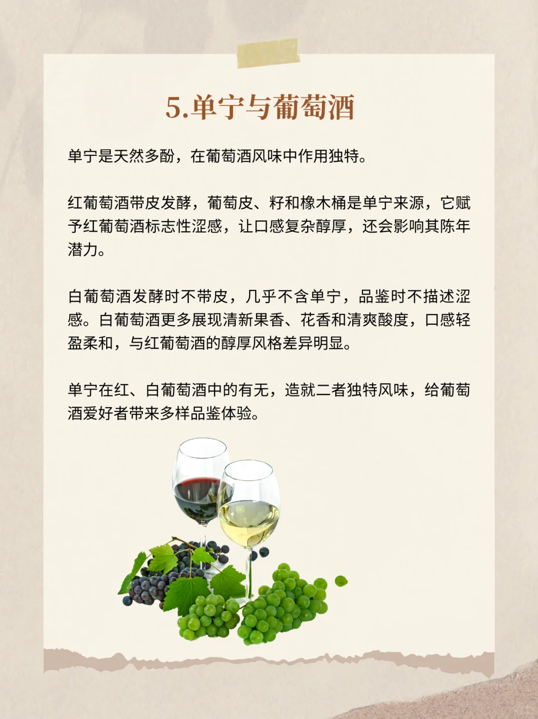 关于葡萄酒的那些小趣事✨
