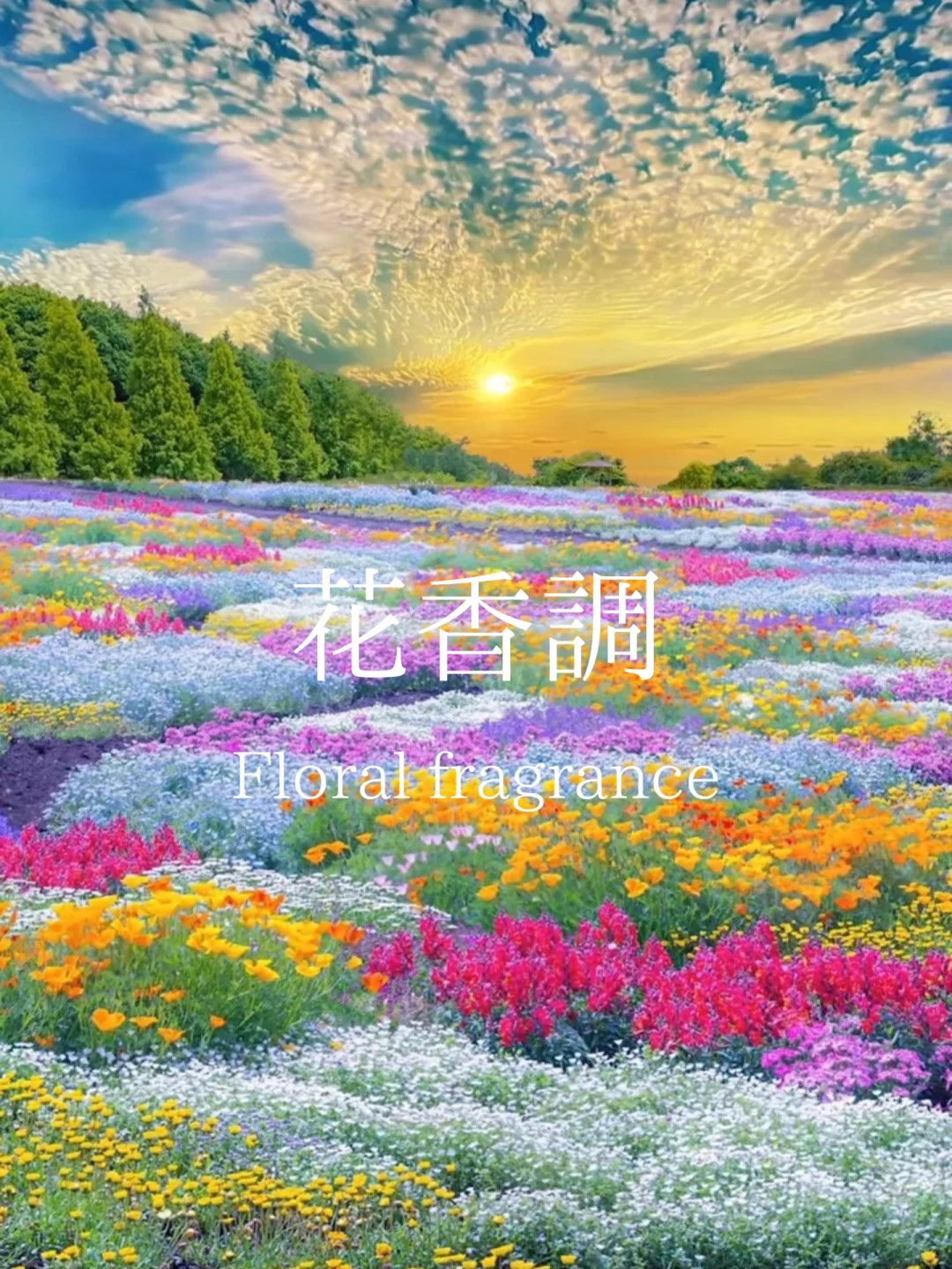 赶时间进：一分钟找到属于你的香！