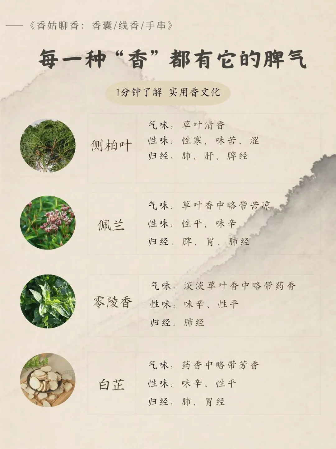 实用香文化｜药香同源各种香材气味辨认