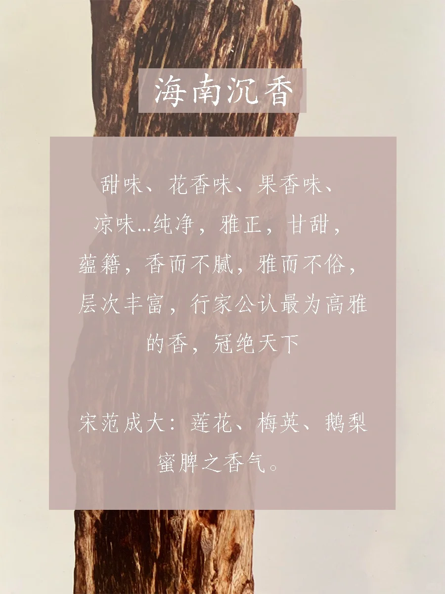 沉香的12种关键香气