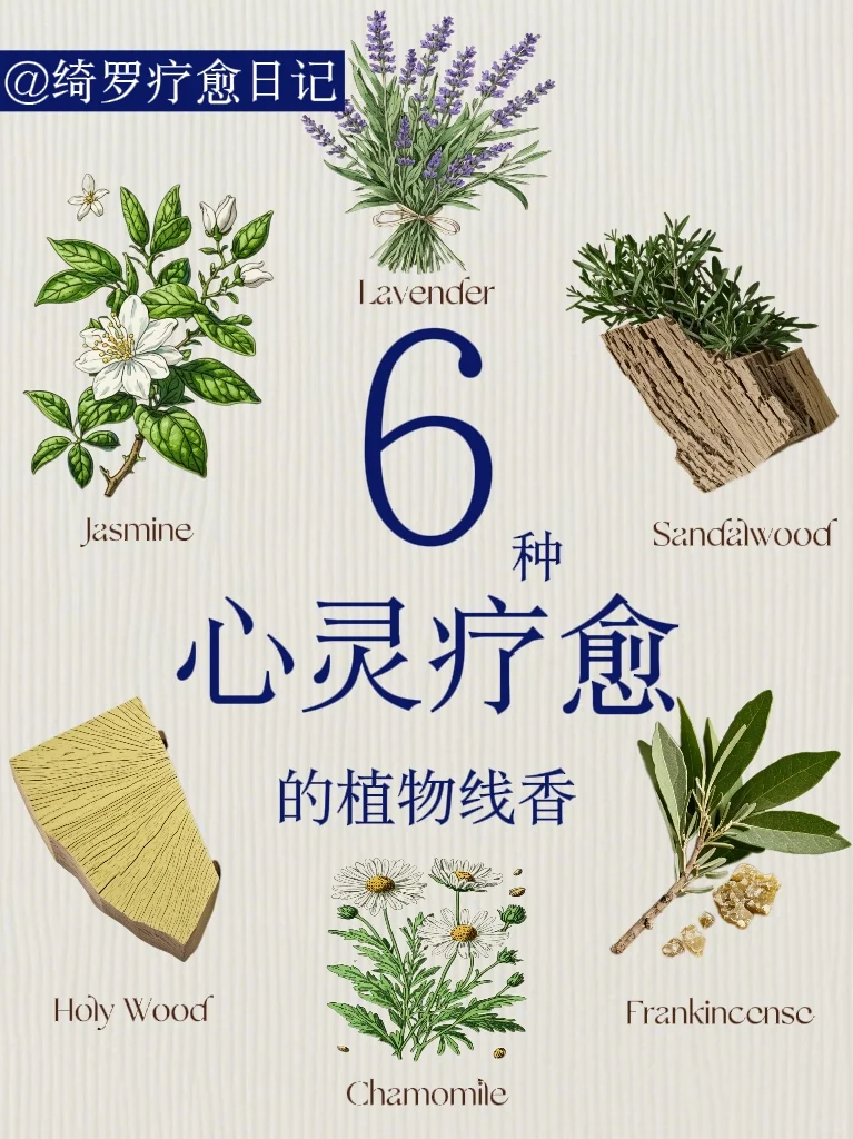 ❤️治愈心灵|6种植物线香?找到平静与力量