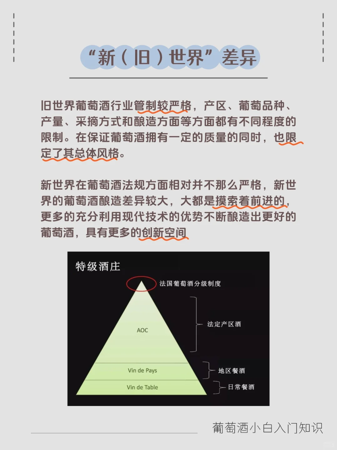 葡萄酒界的 “新势力” 与 “老贵族”