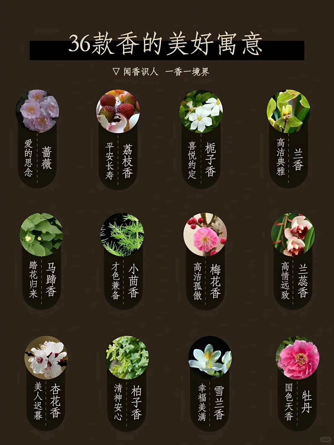?36款香寓意哪些美好｜闻香识人也可观己