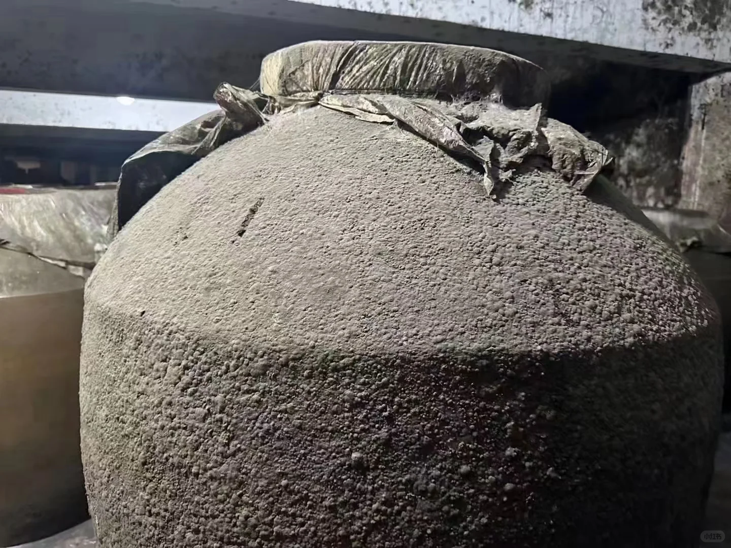 我们本地人都是存新酒喝老酒，就是陈的香