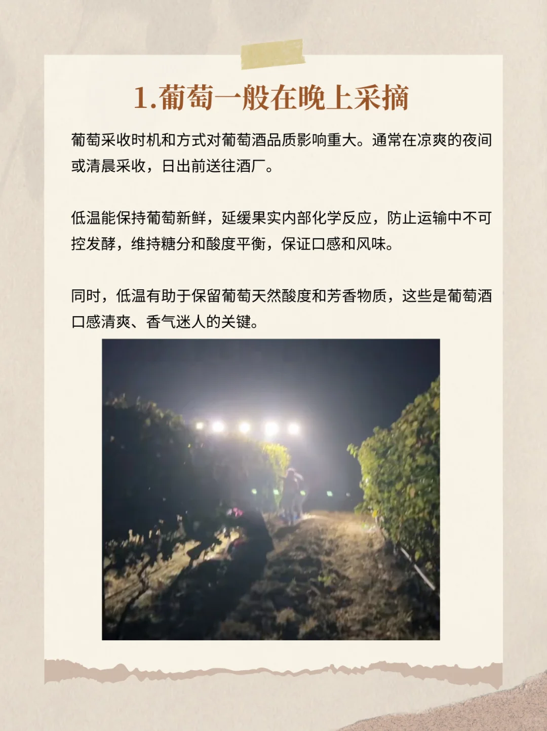 关于葡萄酒的那些小趣事✨