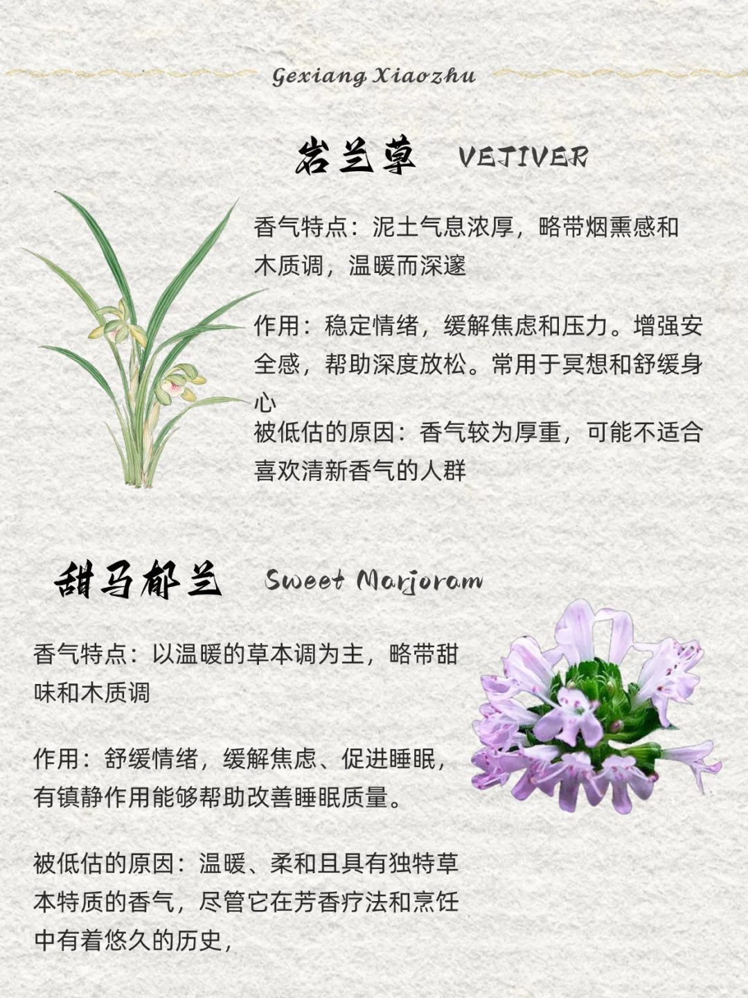 香味科普 ｜8种被低估的香气