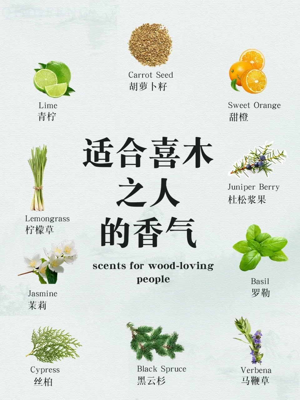 适合喜木之人的木质香气