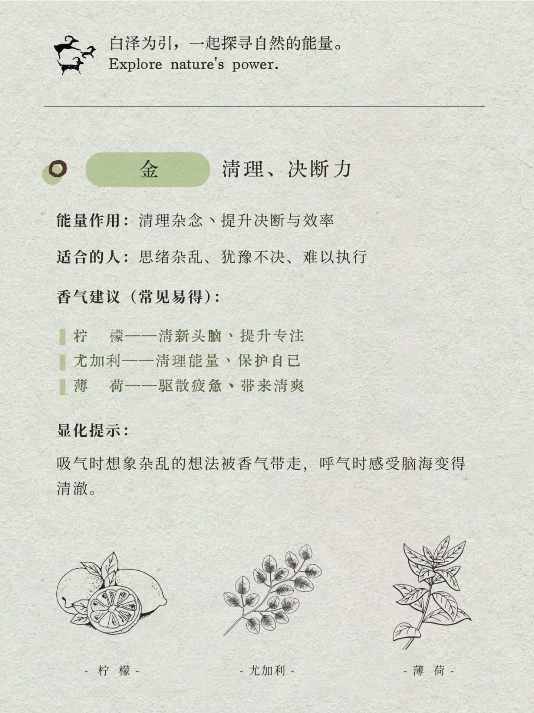 日常可得版：金木水火土分别该用什么香？