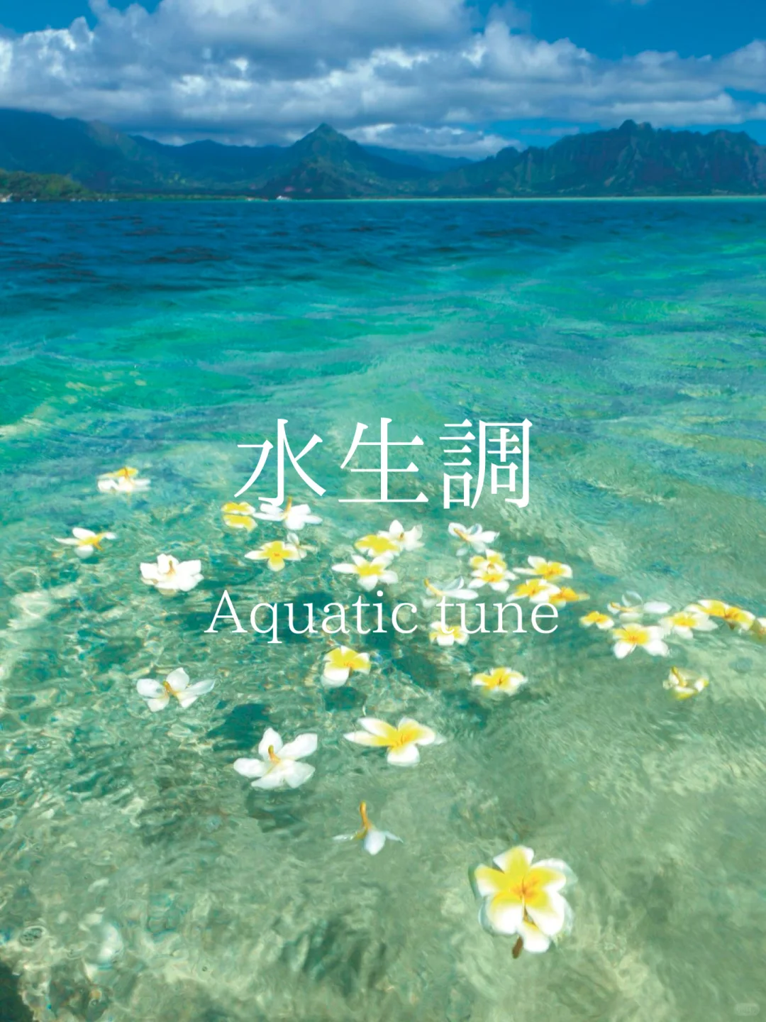 赶时间进：一分钟找到属于你的香！