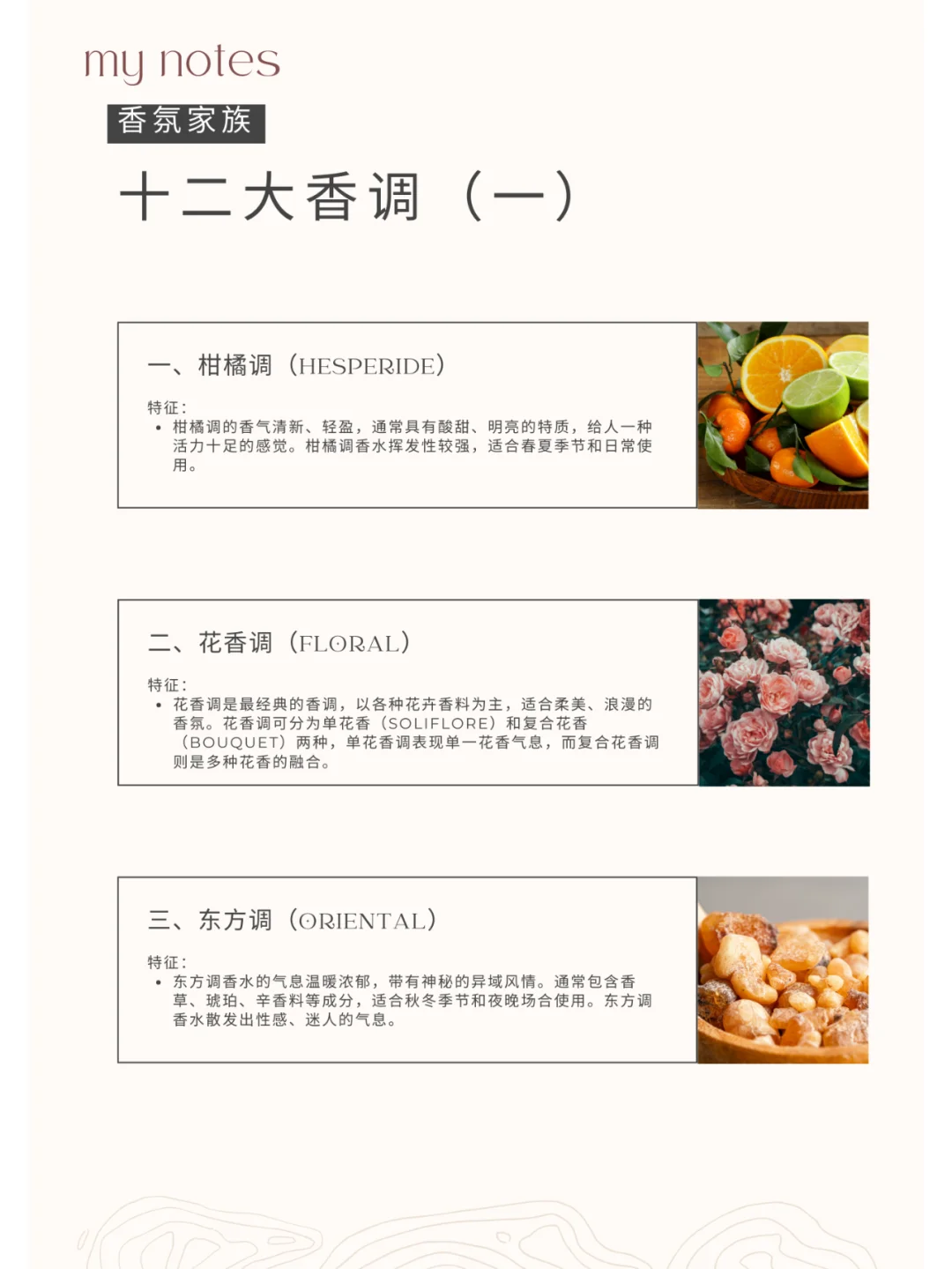 12大香调大起底?香水小白秒变大师?