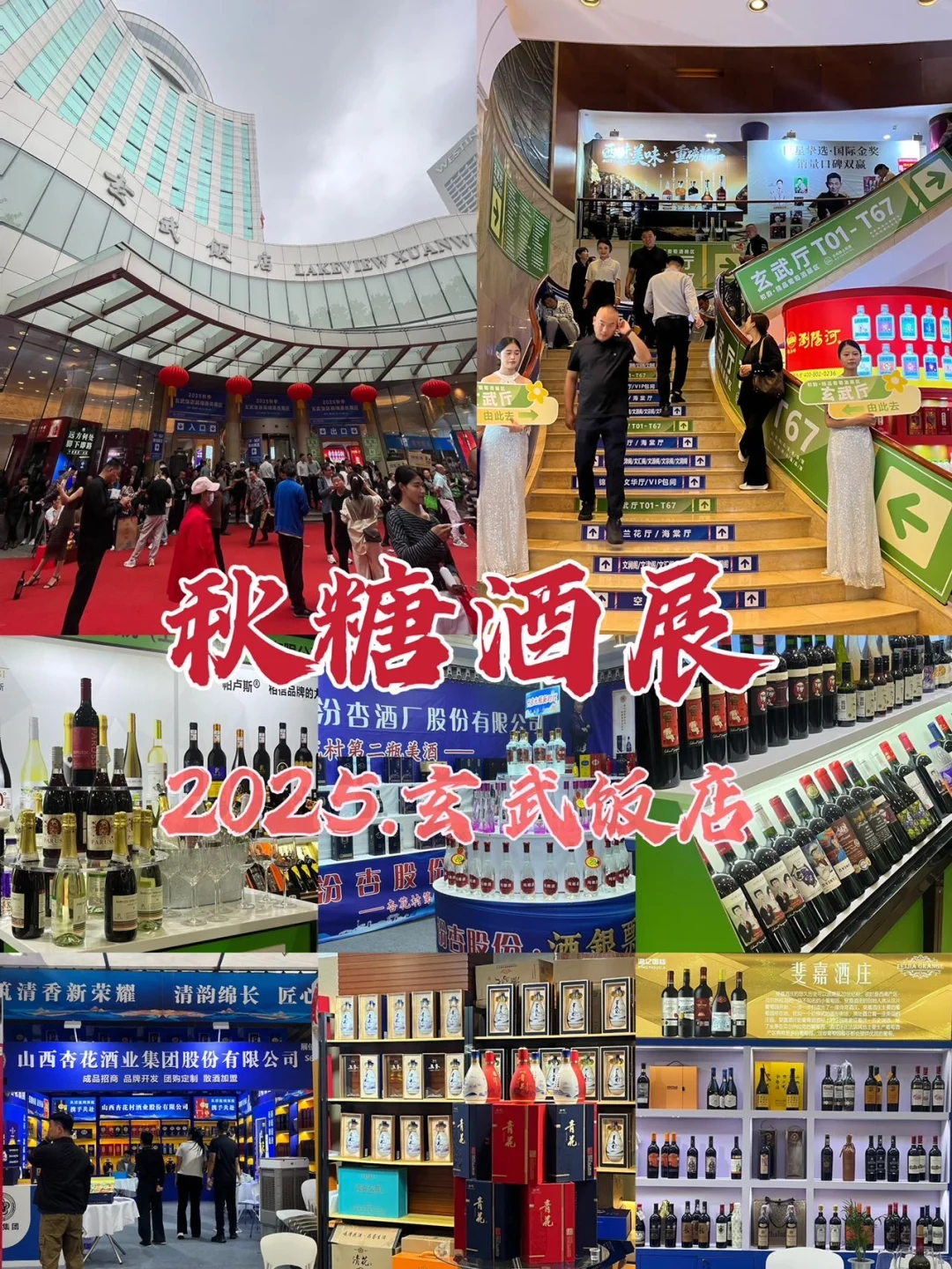 一站式打卡500+！秋糖酒展?争奇斗艳超好逛