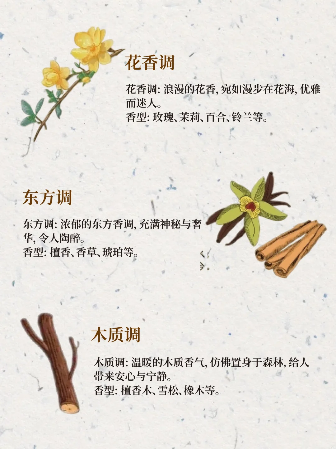 12 种香调|调香爱好者必存!