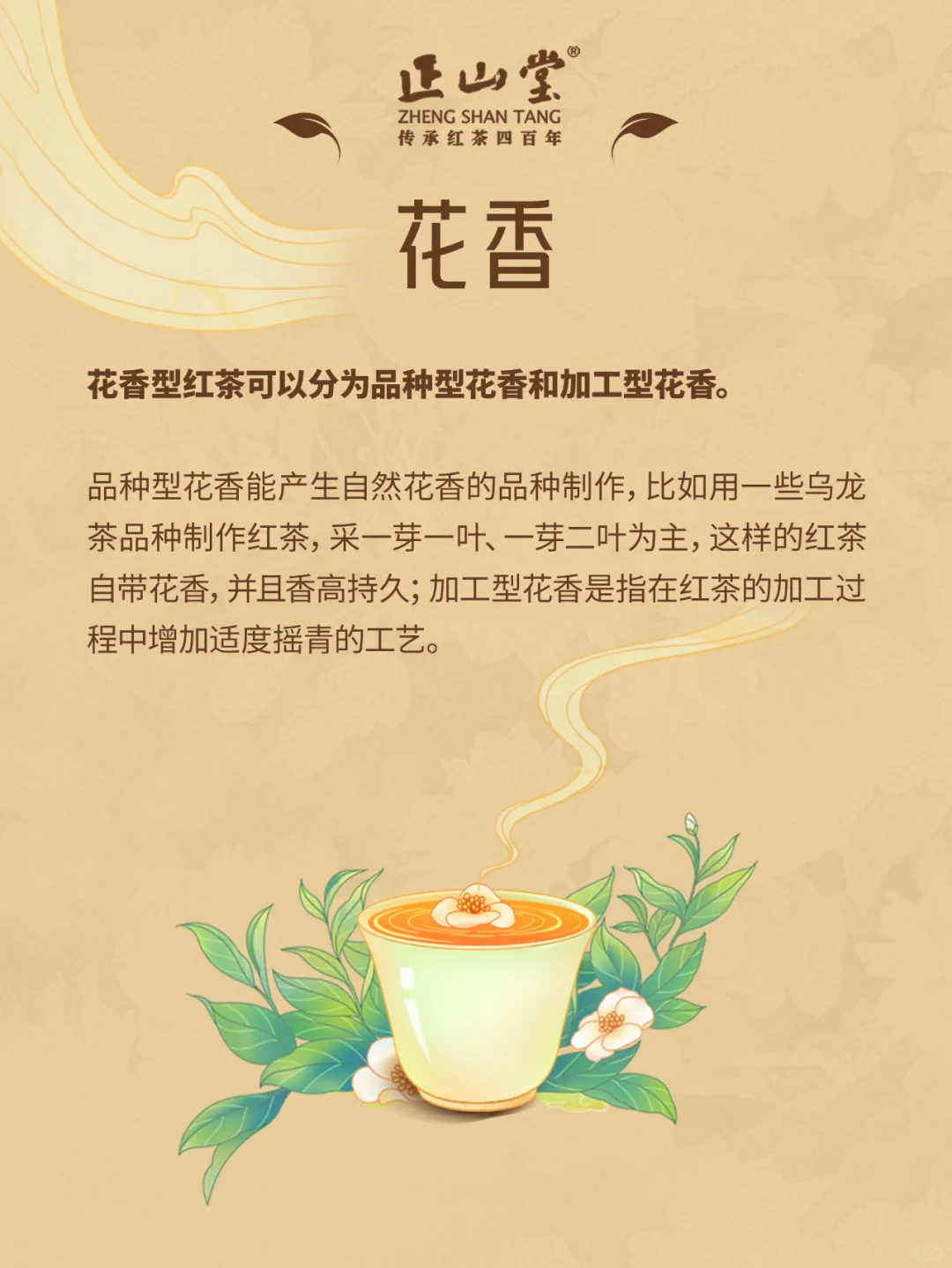 茶知识?红茶的八大香型，你品到过吗？
