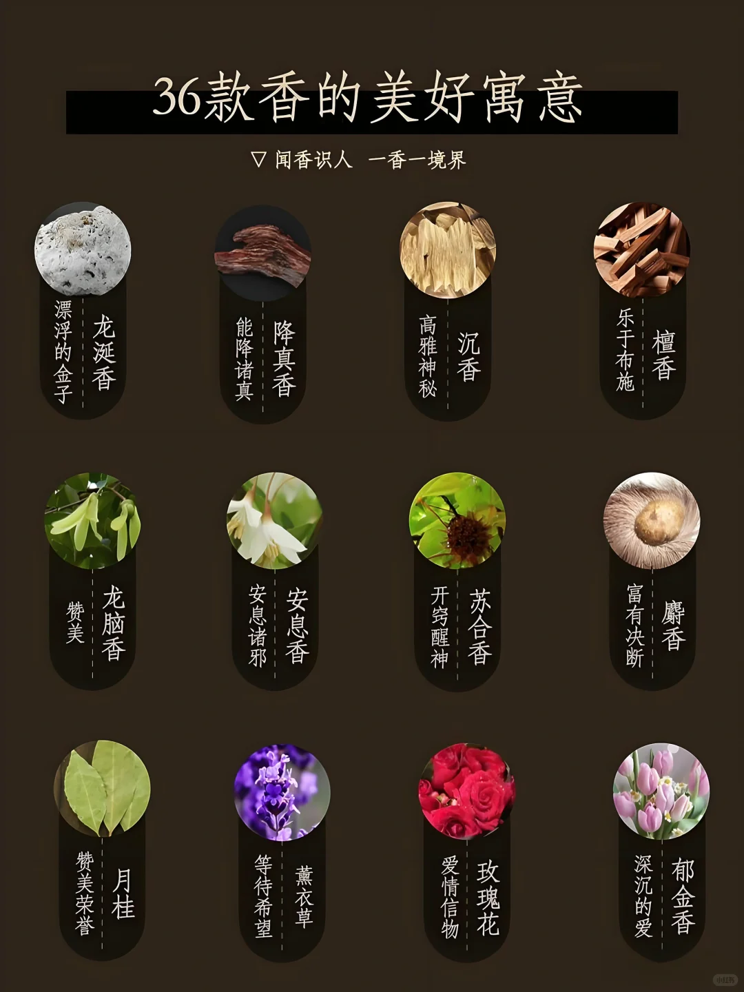 ?36款香寓意哪些美好｜闻香识人也可观己