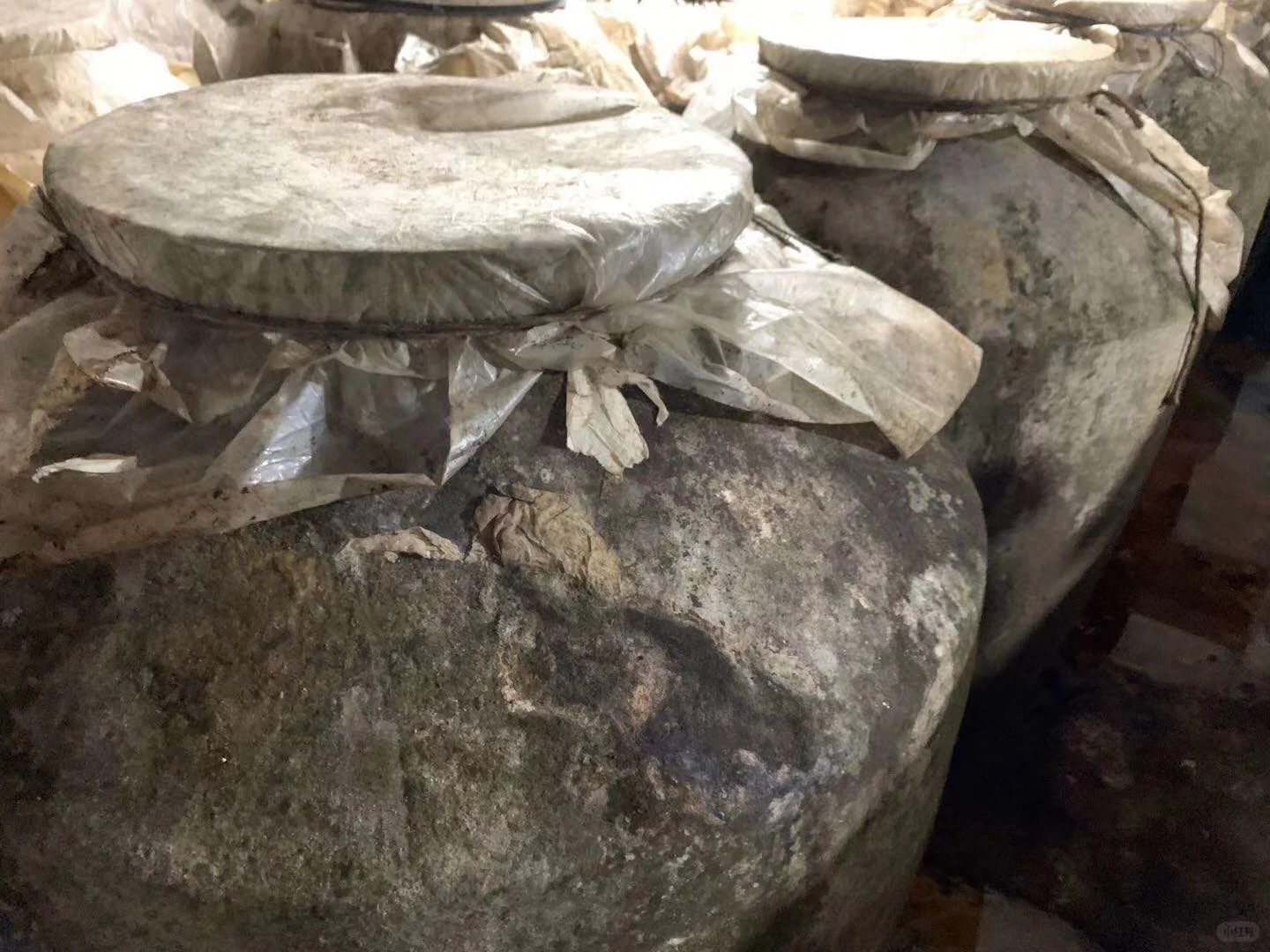 我们本地人都是存新酒喝老酒，就是陈的香