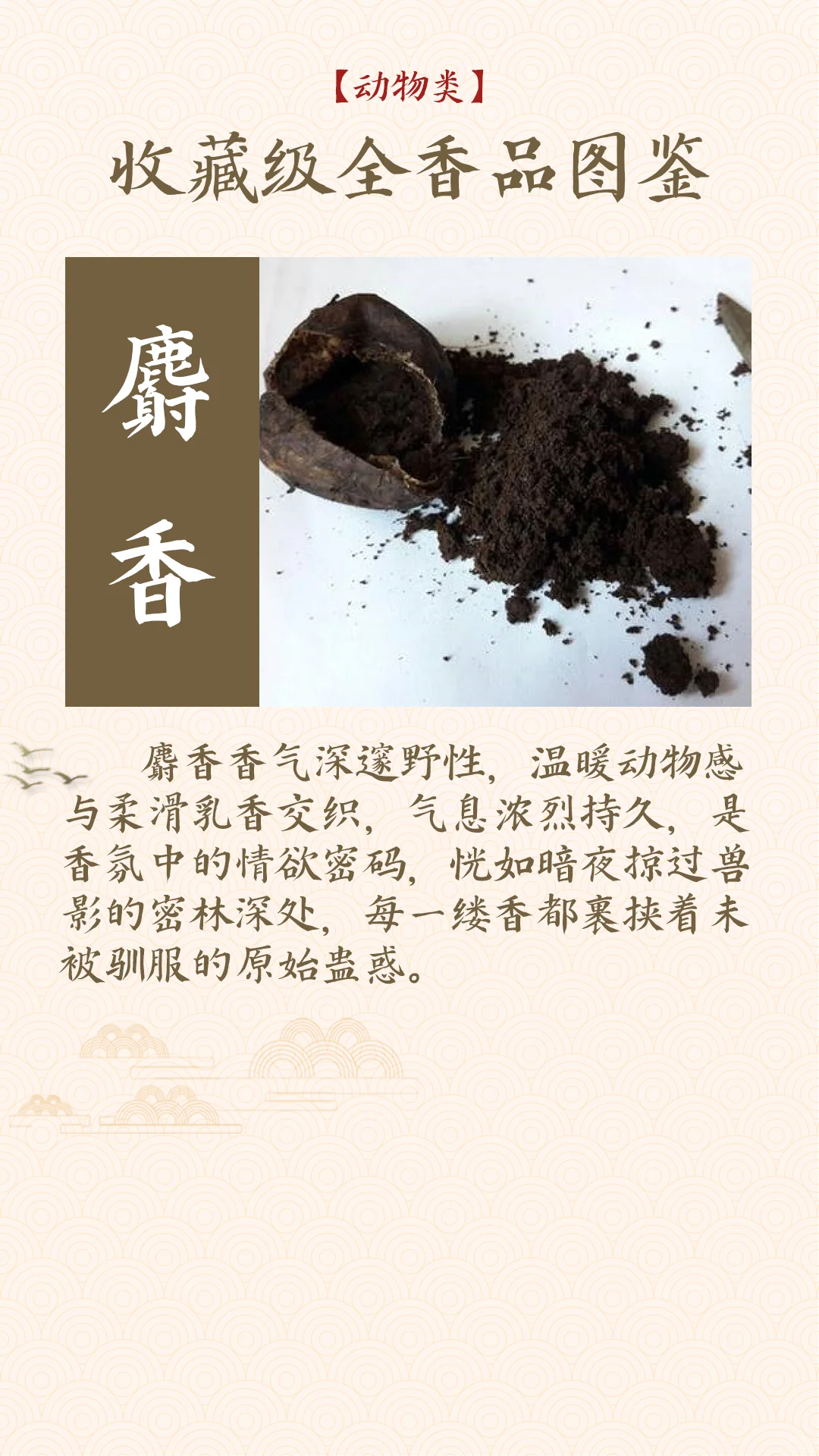 香料气味大揭秘！动物篇