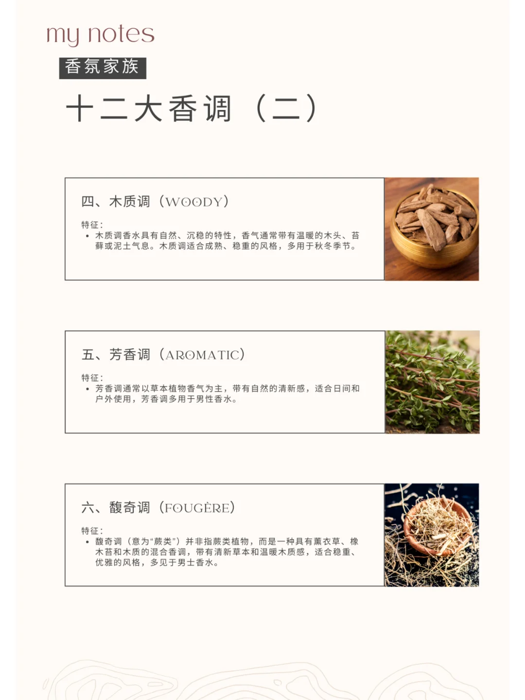 12大香调大起底?香水小白秒变大师?