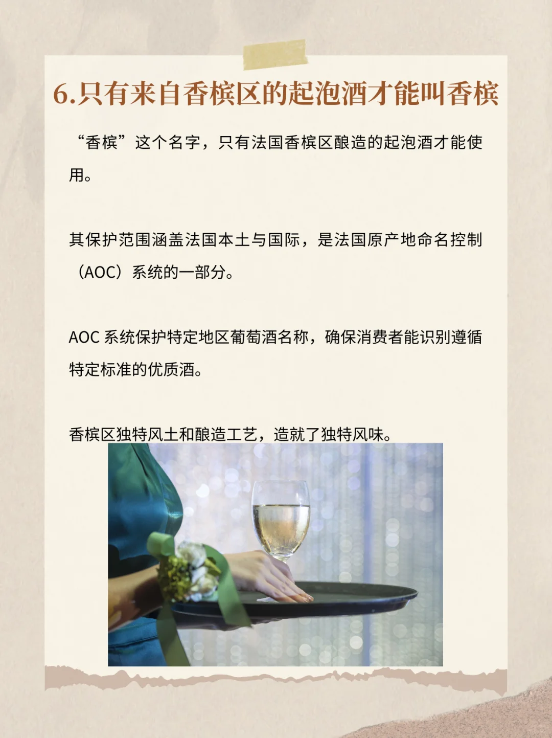 关于葡萄酒的那些小趣事✨