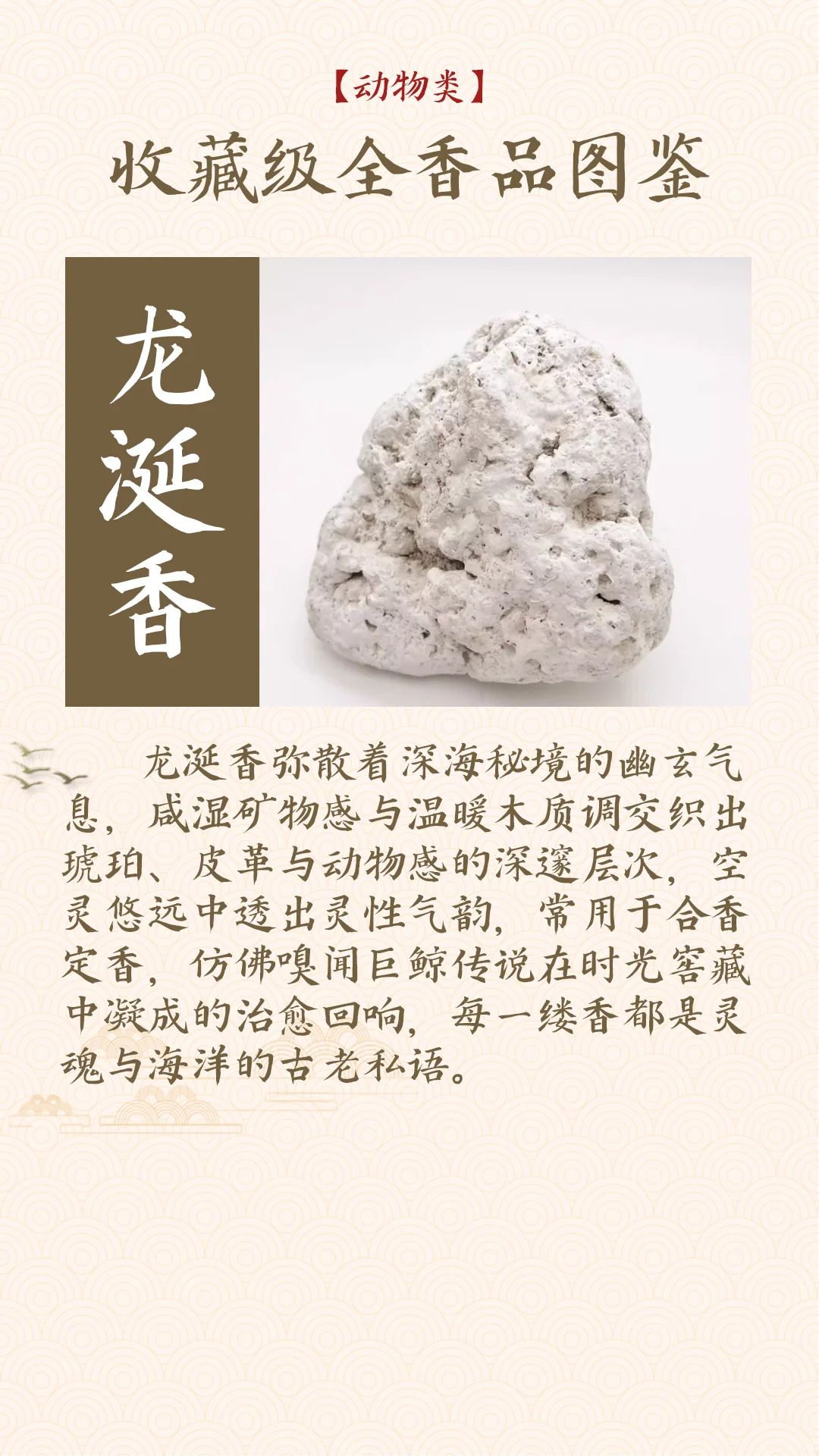 香料气味大揭秘！动物篇