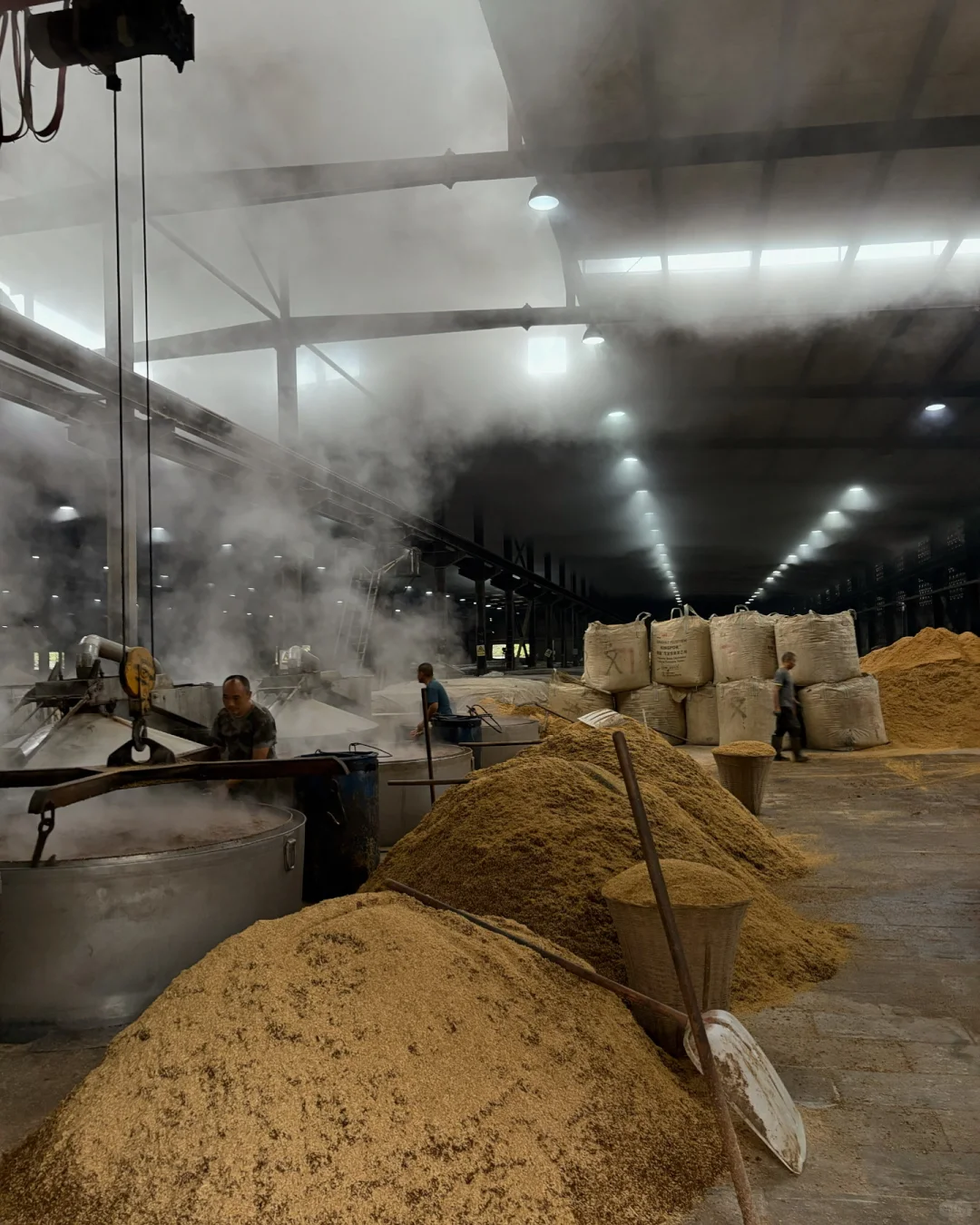 花了18000终于弄清楚酒是什么东西了