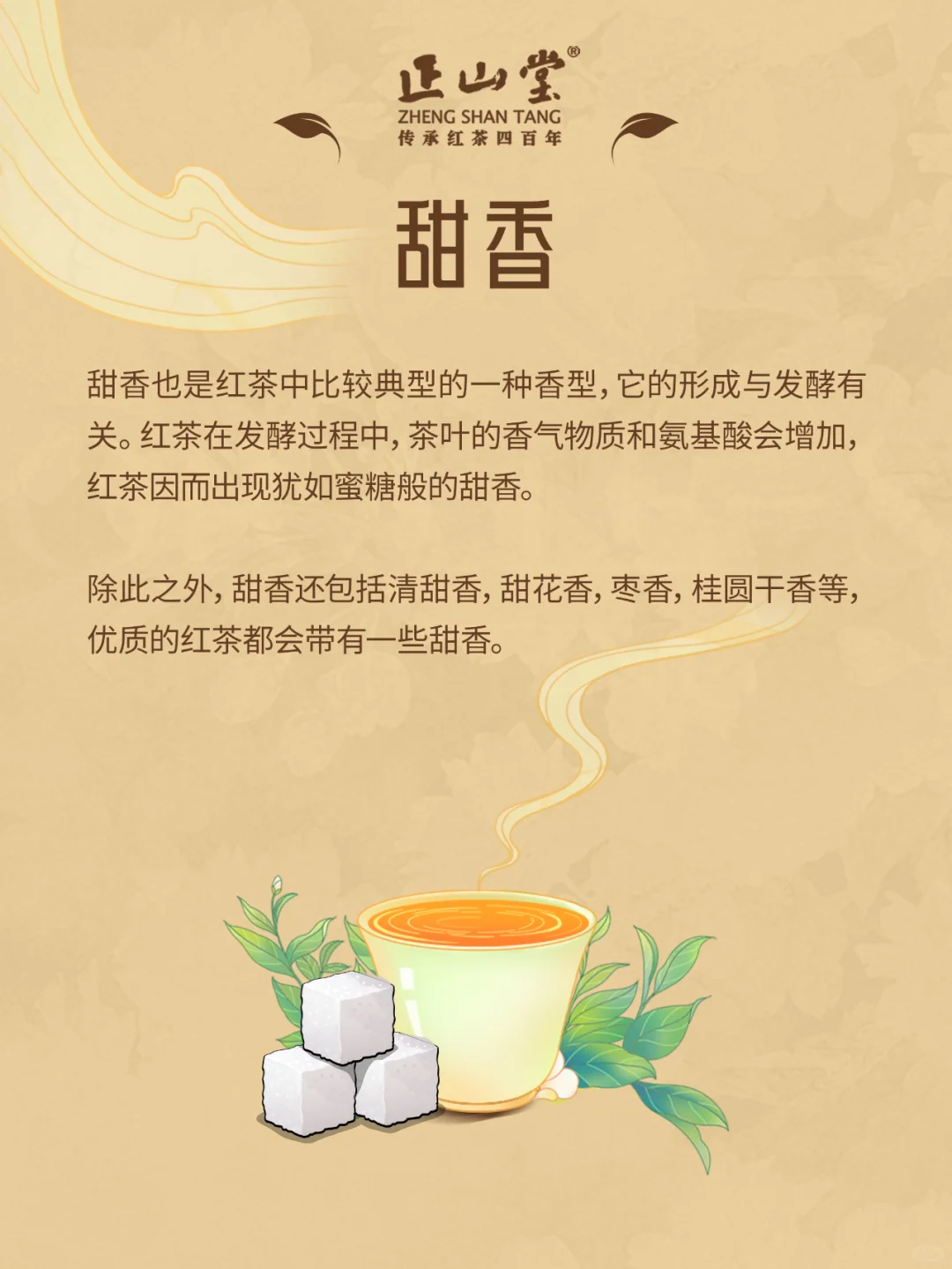 茶知识?红茶的八大香型，你品到过吗？