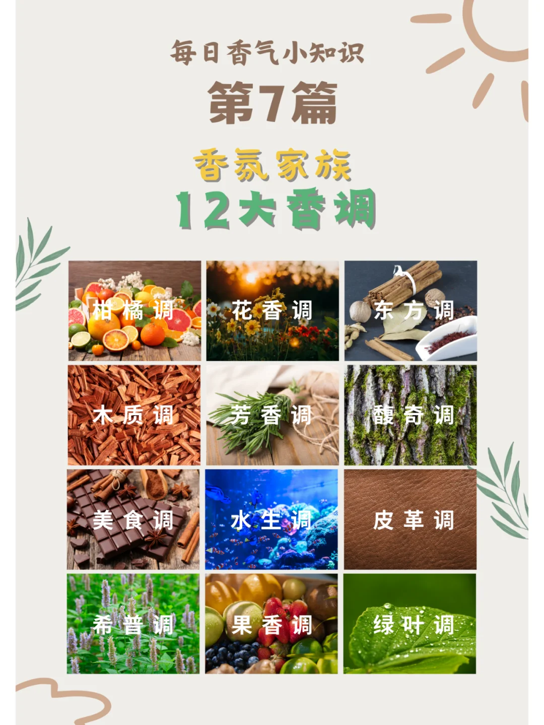 12大香调大起底?香水小白秒变大师?