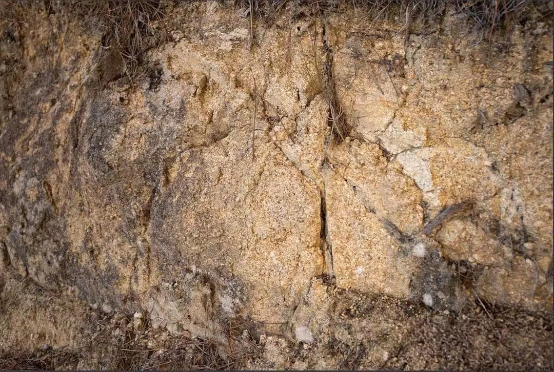 让人一口沦陷的杜奥（DAO）产区网红