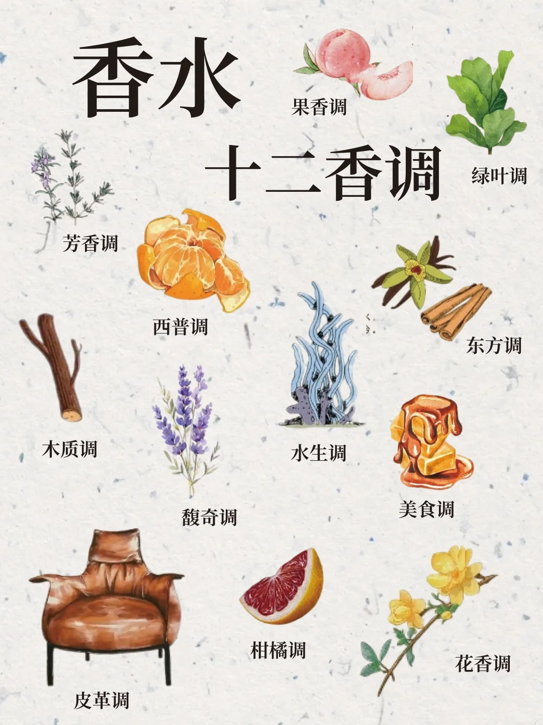 12 种香调|调香爱好者必存!