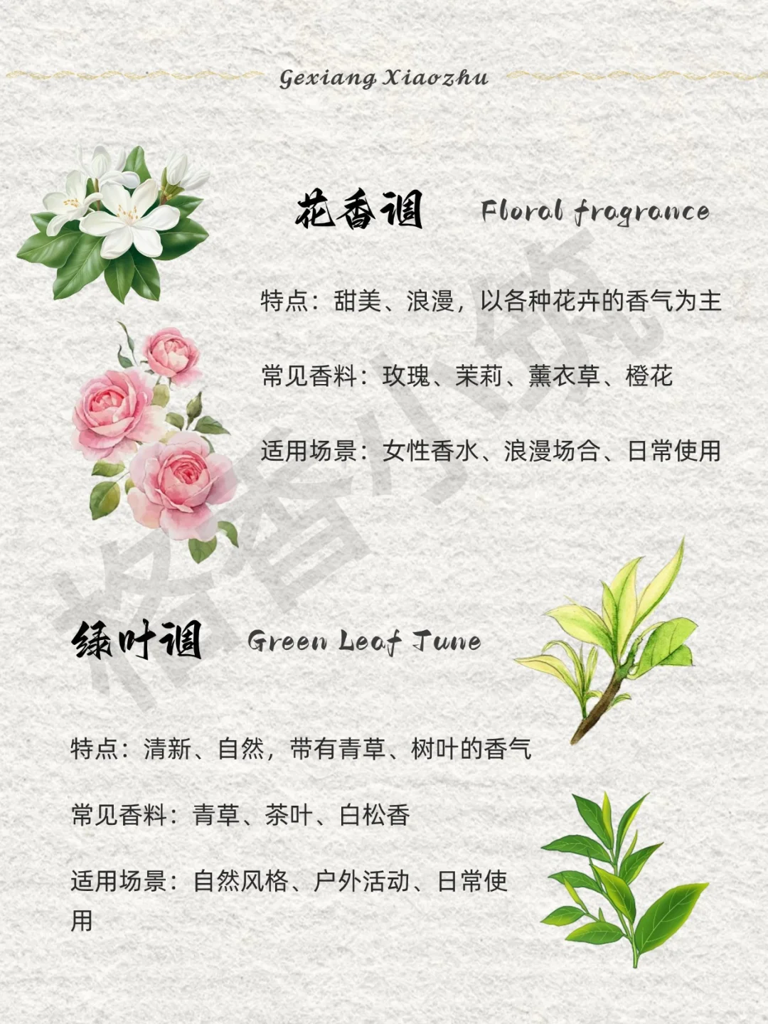 香味科普 | 新手必知的12种香调！