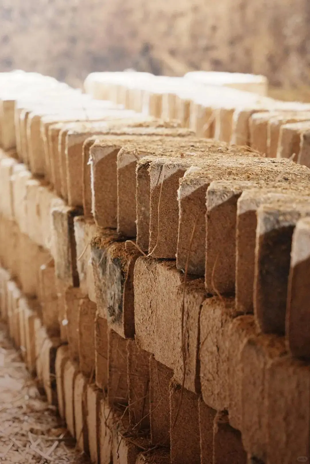 趁着休息和酒厂制曲总工聊聊天