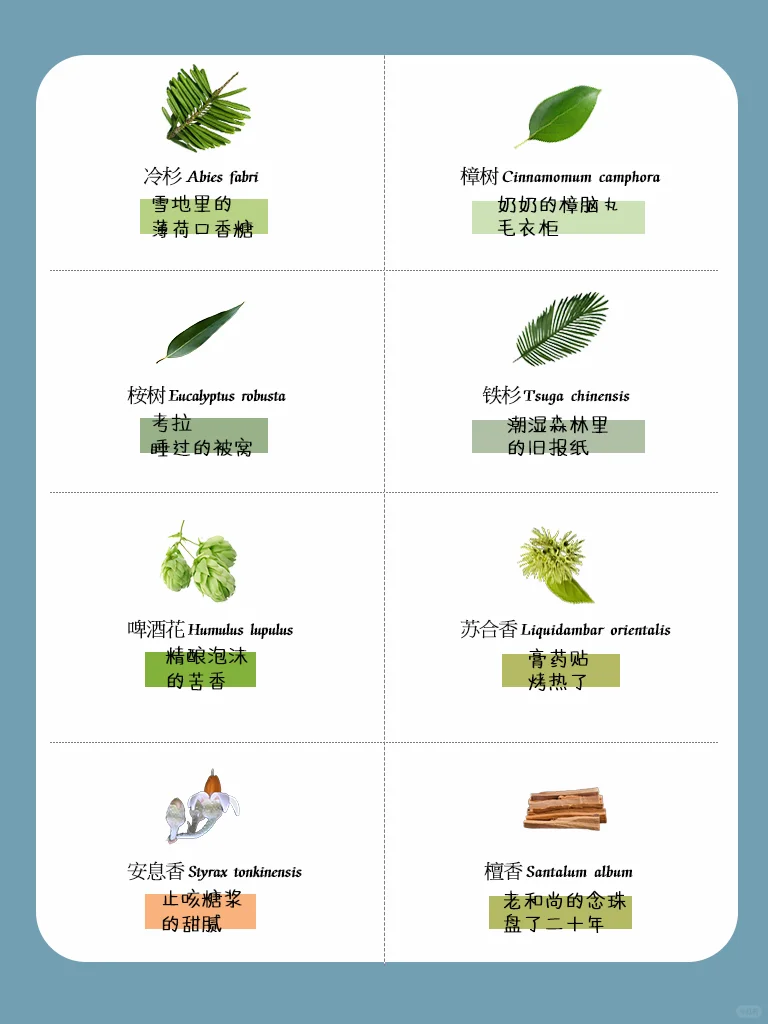 ?秒懂！ 一句话讲明白香植的味道~