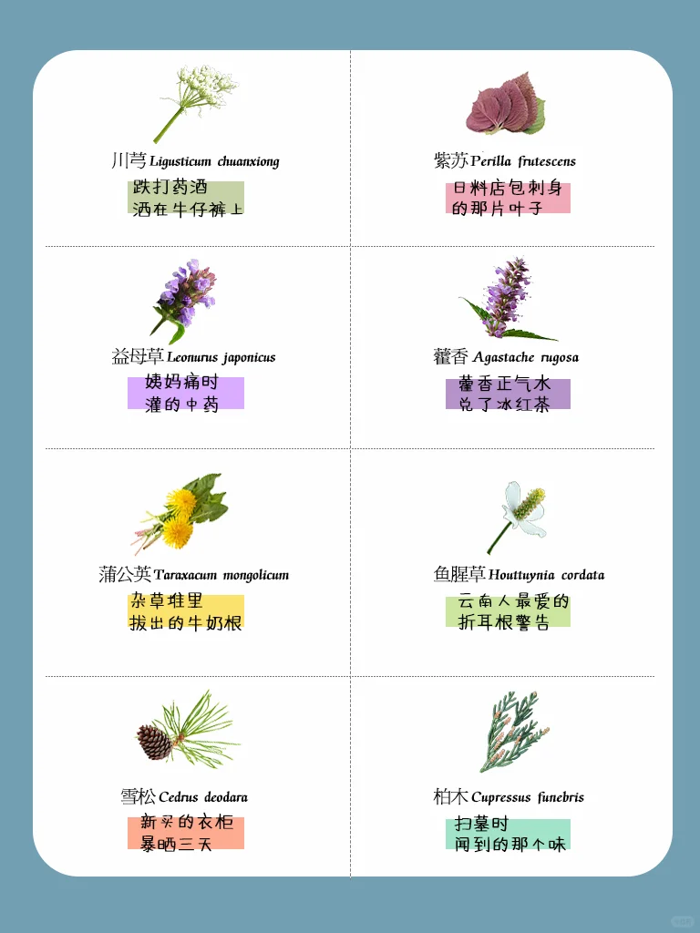 ?秒懂！ 一句话讲明白香植的味道~