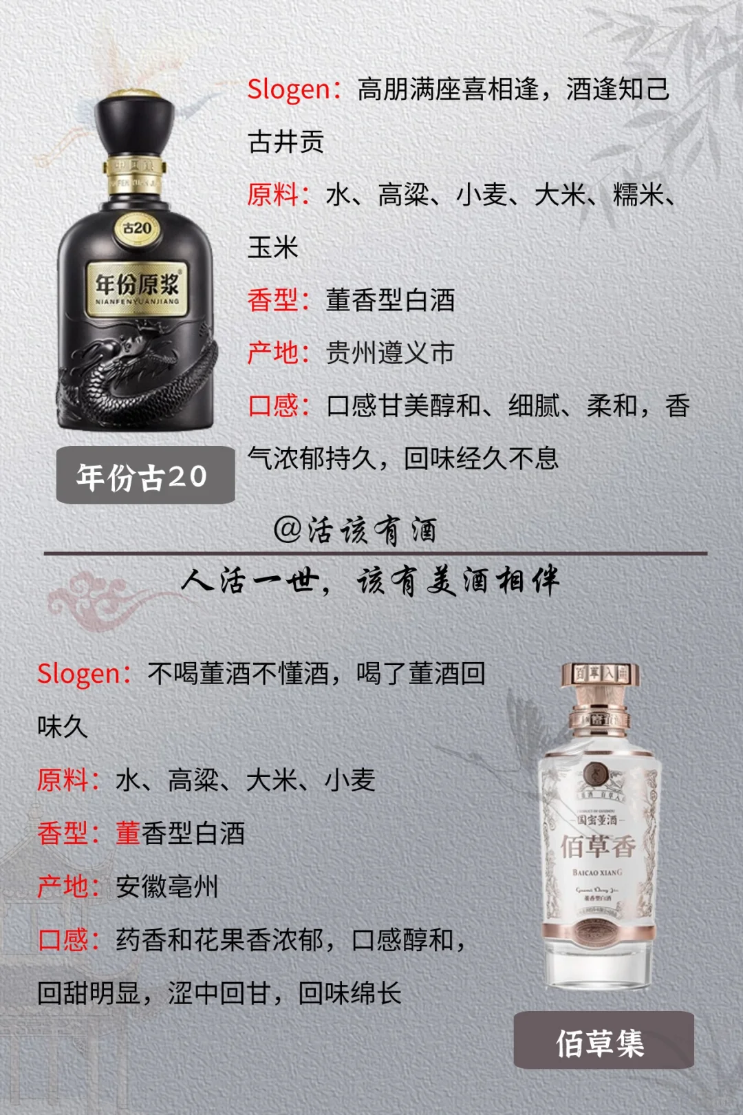 1963年评选的中国老八大名酒，你知道哪些