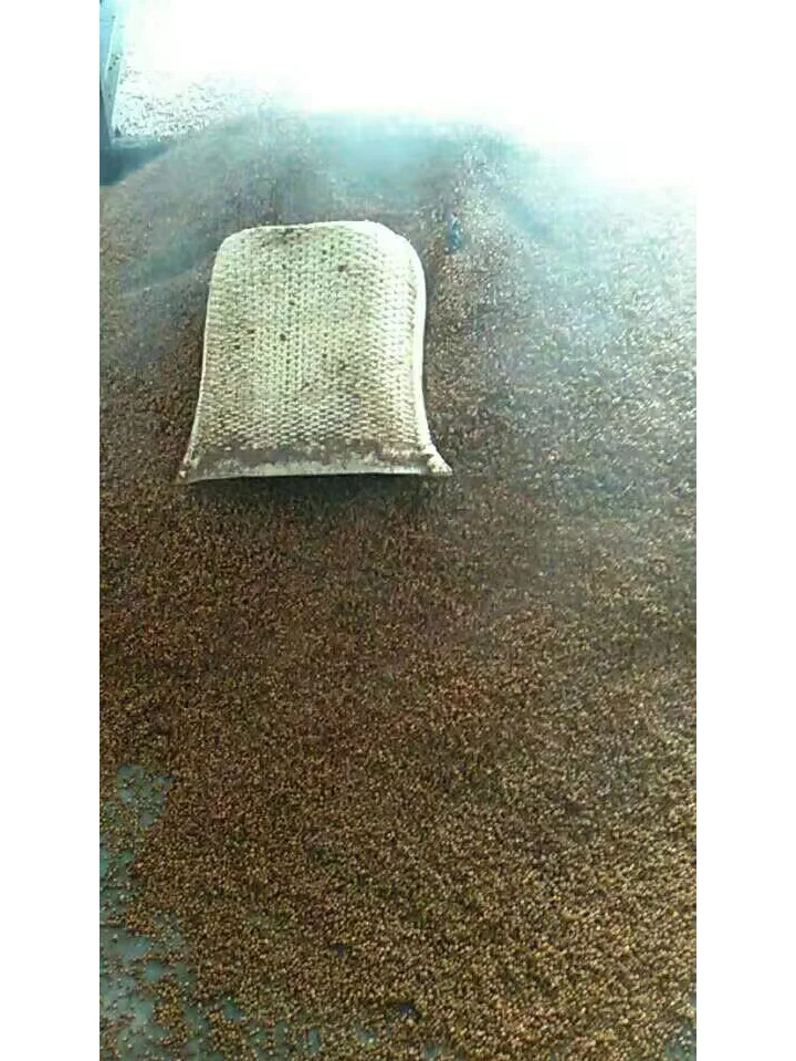 自酿高粱酒之蒸高粱