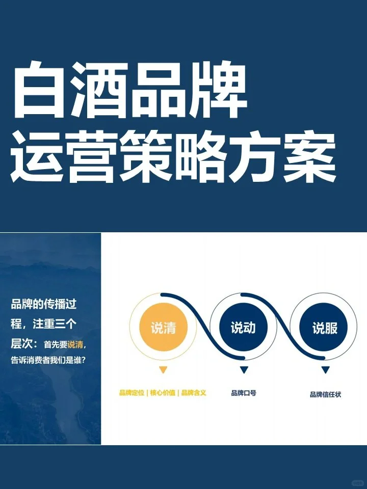 白酒品牌运营策略方案