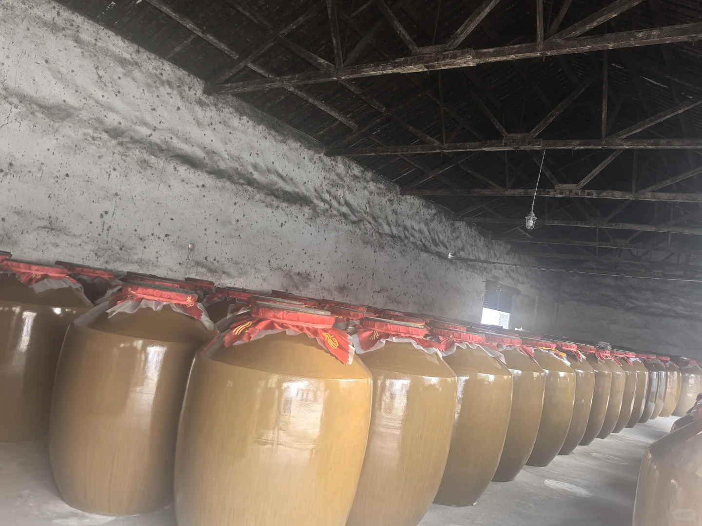 今天是卖散酒的一天✨✨