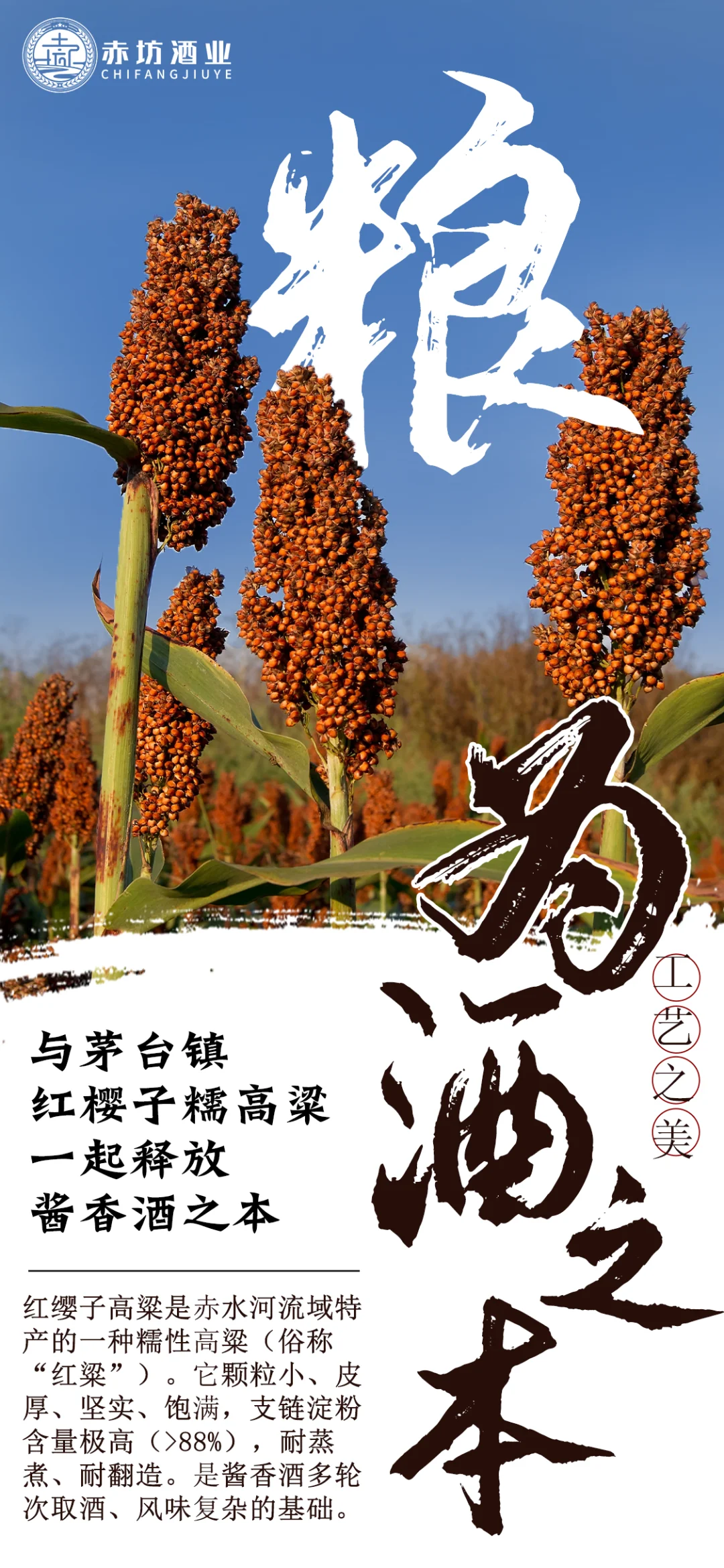 粮为酒之本，水为酒之血，曲为酒之骨