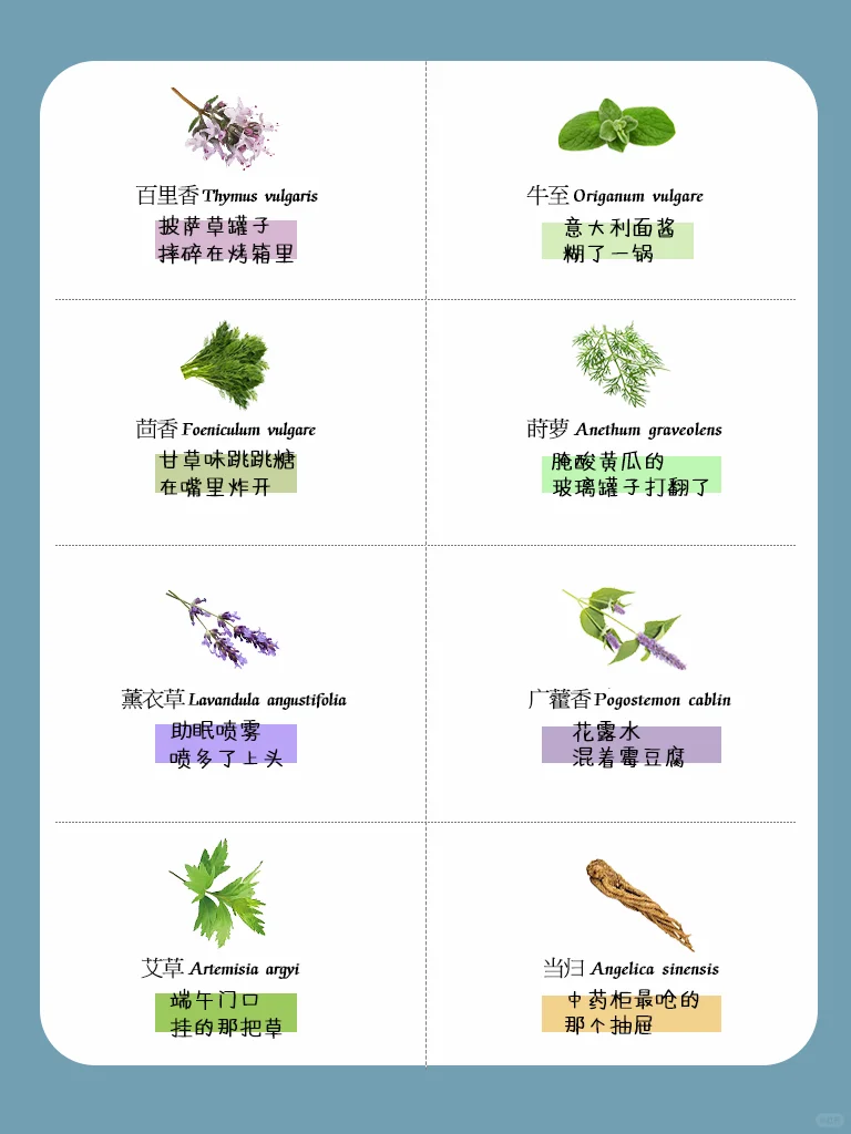 ?秒懂！ 一句话讲明白香植的味道~