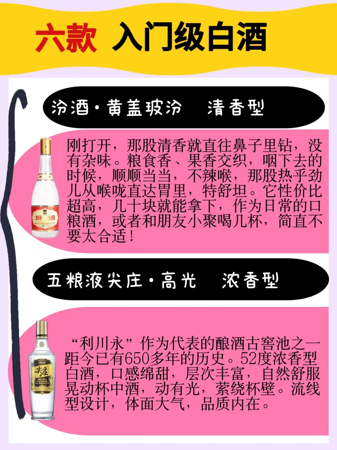 小白友好的六款入门级白酒✨