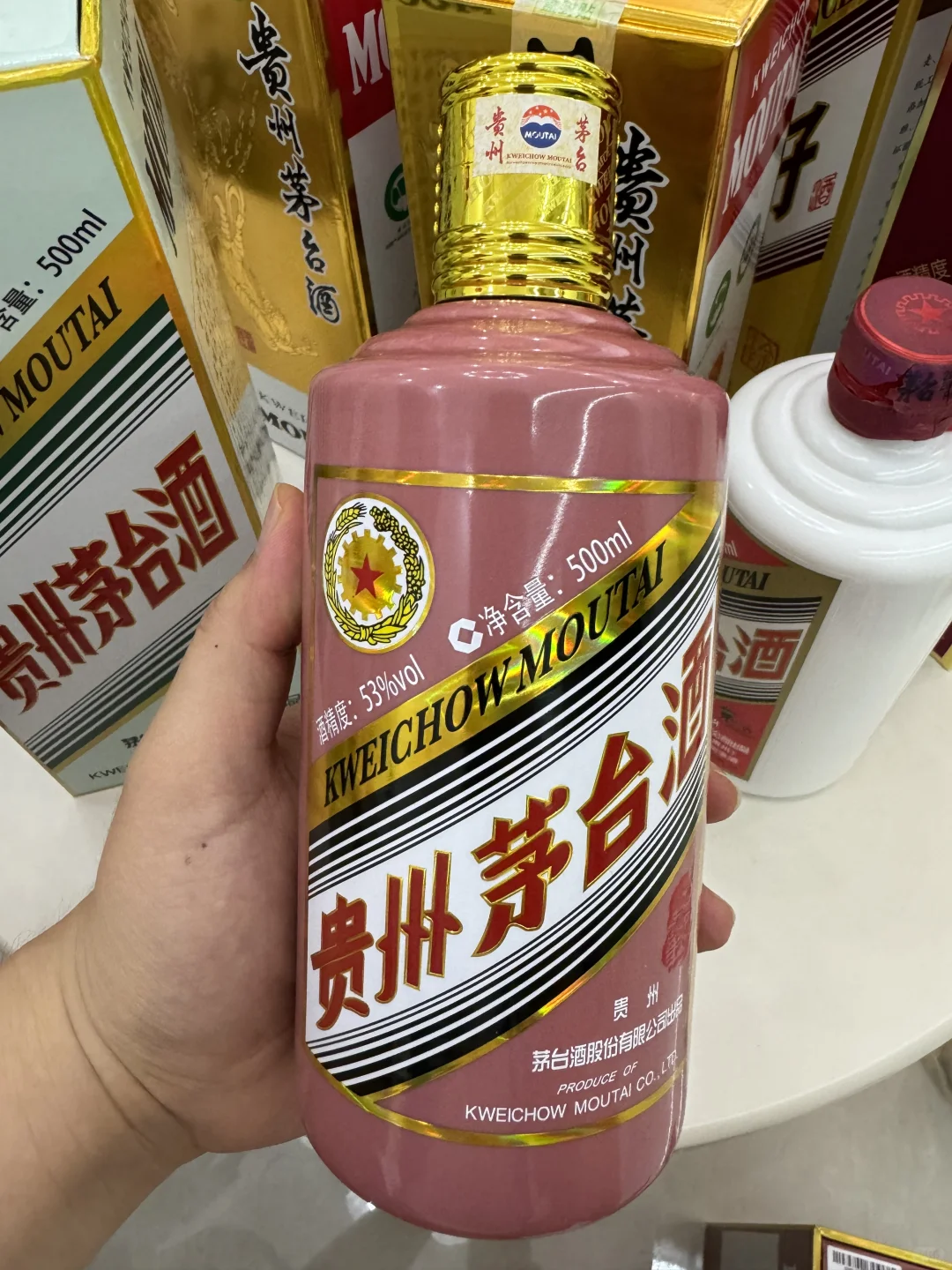 家里的茅系大聚会✨