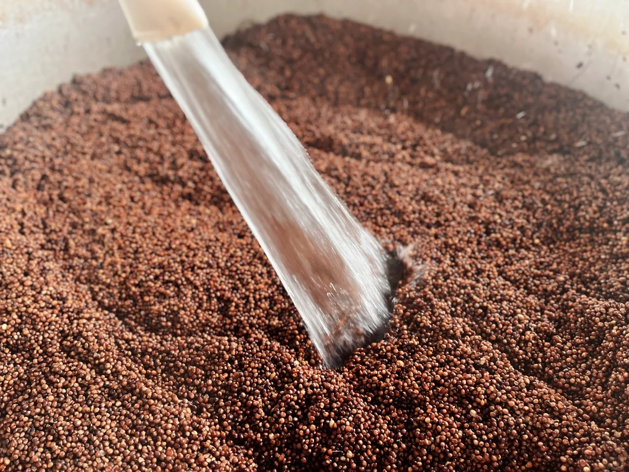 固态发酵法是什么㊙️